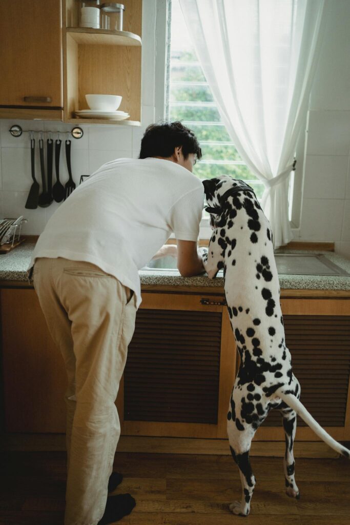 Pet owner planning veterinary expenses with PetHSA