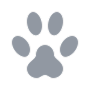 Cat Footprint